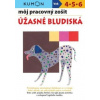 Úžasné bludiská - Môj pracovný zošit - Kolektív autorov
