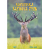 Slovenská raticová zver - Tibor Bédi