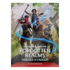 Wizards of the Coast Dungeons & Dragons RPG Forgotten Realms: Heroes of Faerun Player Expansion - SK