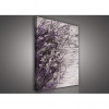 Obraz na plátne obdĺžnik - OB0572 - Levanduľa 60cm x 40cm - O4