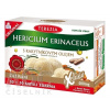 TEREZIA HERICIUM ERINACEUS S RAKYTNÍKOVÝM OLEJOM cps 30+30 zadarmo (60 ks)