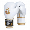 Boxerské rukavice DBX BUSHIDO DBD-B-2 10 oz