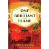 One Brilliant Flame - Joy Castro