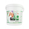Orling Gelapony VitaMin 5,4 kg