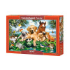 Castorland Puzzle Zvierací kamaráti, 500 dielikov
