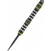 Winmau Steel Michael van Gerwen Assault 24g