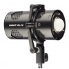 Hive Lighting 22799