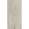 Vinylová podlaha SPC Floor Concept dub snow, 5 mm