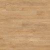 Swiss Oak Golden (0796) AKCIA