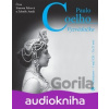 Vyzvědačka - Paulo Coelho
