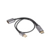 Lanberg HDMI(M)->DISPLAYPORT(F) ADAPTER 4K ON CABLE 20CM SILVER AD-HD-DP-02