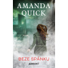 Beze spánku - Amanda Quicková