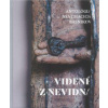 Videné z nevidna