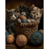 Norimpex Diamantové maľovanie Mačiatka v košíku 30 x 40 cm