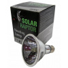 Lampa vykurovacia keramická 60W E27 Solar Raptor Žiarovka (x)