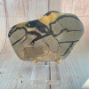 Nefertitis Septária leštená plátok 7 NF52136 - cca 10 x 14,9 cm, 397 g