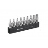 nářadí TOPEAK TORX BIT KIT 9