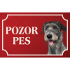 Írsky vlkodav - Kovová tabuľka POZOR PES