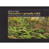 Netvořice v proudu věků - Poslední miliarda let v kraji mezi Vltavou a Sázavou - Cílek G. Václav