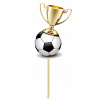 TOPPER NA TORTU K NARODENINÁM LOPTA TROFEJ ODMENA