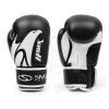 Boxerské rukavice SMJ Hawk HS-TNK-000011204