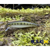 Wobler ILLEX Tiny Fry 50 SP - Goujon