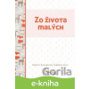 E-kniha Zo života malých - Martin Braxatoris-Sládkovičov