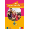 Deutschprofis in Teilbanden
