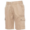 Bermudy PAYPER RIMINI SUMMER, hnedá Khaki, 5XL