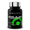 Scitec Nutrition Shilajit 60 caps