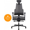 Therapia Zdravotní židle Body+ EVO (XL)