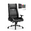 Diablo Chairs - Herné kreslo Diablo X-Custom Normal: black (1590)