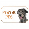 Írsky vlkodav - Kovová tabuľka POZOR PES