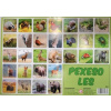 Pexeso Les fotografie 8588001170769 Wiky