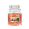 Yankee Candle Cliffside Sunrise vonná sviečka 411 g