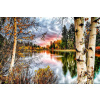 Norimpex Diamantové maľovanie Brezy na brehu jazera 40x30cm