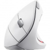 Trust Verto Ergonomic Wireless Mouse 25132