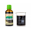 REHMÁNIE - bylinné kapky - tinktura 50 ml BYLINNÉ KAPKY