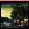 MoFi Tango in the night 180g / 45 RPM Limited LP (Tango in the night 180g / 45 RPM Limited LP)