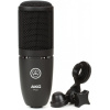 AKG Perception 120