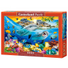 Dolphins in the Tropics (104611)