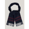 ŠÁL GANT MERINO WOOL STRIPED WOVEN SCARF EVENING BLUE