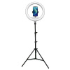 Powerton WPRL2W