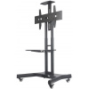 NewStar NeoMounts Mobile Flat Screen Floor Stand (32 - 75'') NM-M1700BLACK
