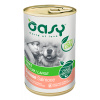 Oasy One protein Adult Medium/Large Salmon 400g