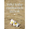 Velká kniha meditačních technik - Jednoduchá cvičení pro každodenní problémy - Siegel Ronald D.