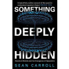 Something Deeply Hidden Quantum Worlds and the Emergence of Spacetime