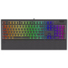 Endorfy herní klávesnice Omnis Pudd.Kaihl BL RGB /USB/ blue switch / drátová / mechanická / US layout / černá RGB EY5A031
