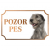 Írsky vlkodav - Kovová tabuľka POZOR PES