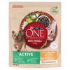 PURINA ONE MINI Dog Active 800g suché krmivo pre psov s kuraťom (PURINA ONE MINI Dog Active 800g suché krmivo pre psov s kuraťom)